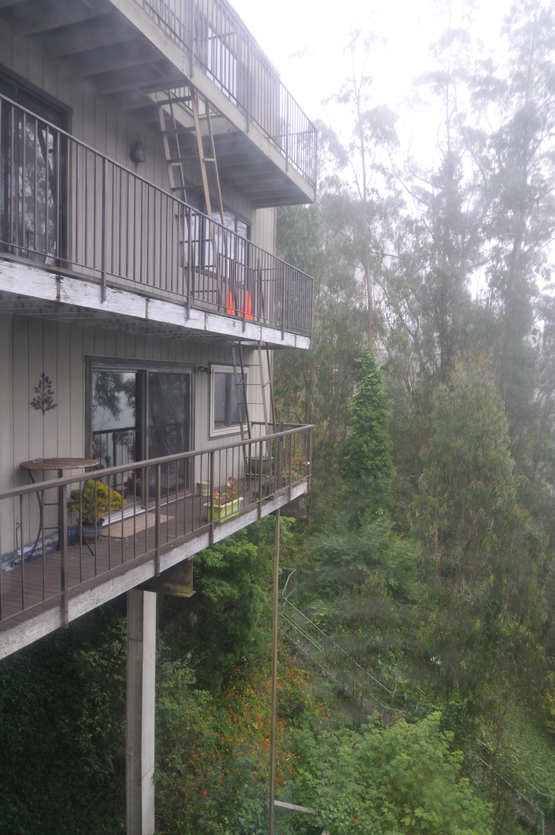 Guess how steep the road up to it was! Not Lombard Street steep, but probably not far off! And that pesky fog again!